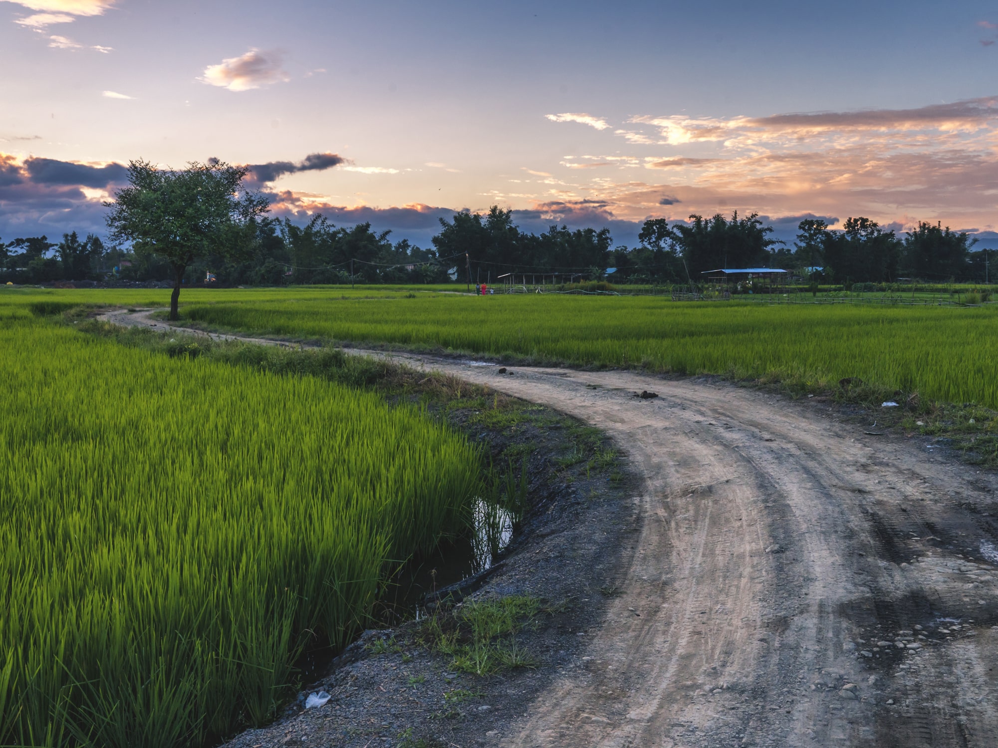 THE VIBRANCY OF COMING HOME